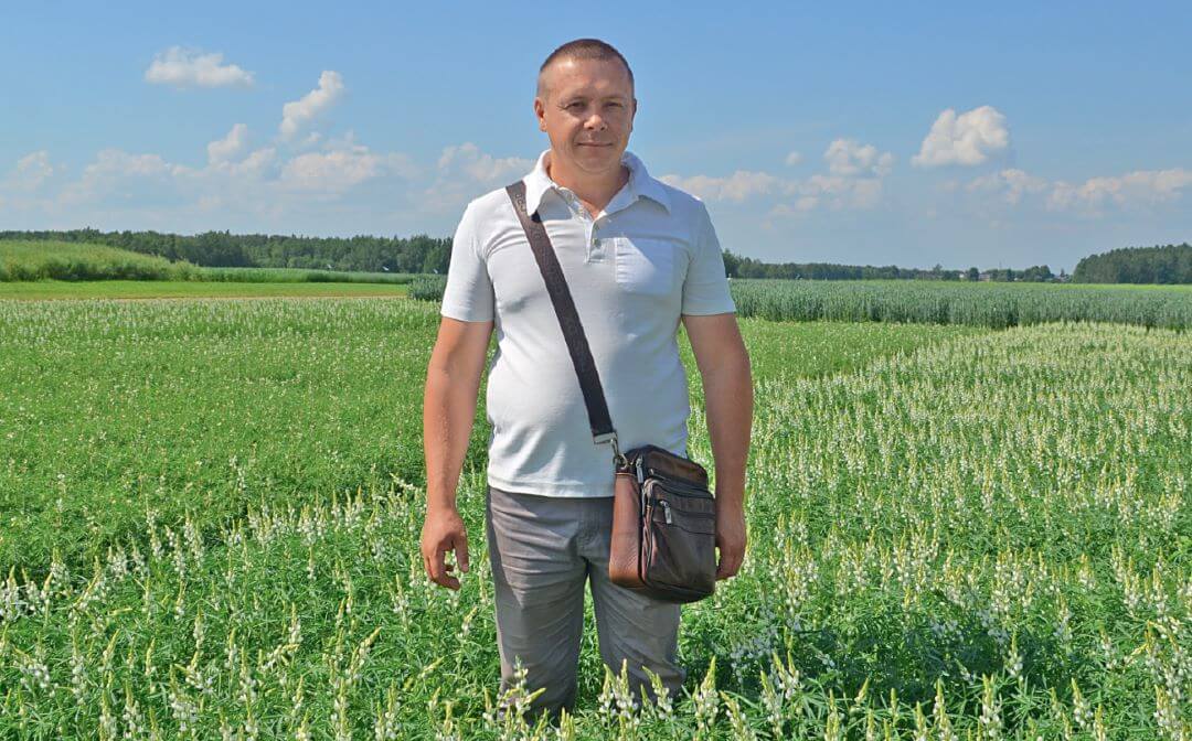 М. Н. Крицкий на поле люпина узколистного сорта Ярык М. Н. Крицкий на поле люпина узколистного сорта Ярык