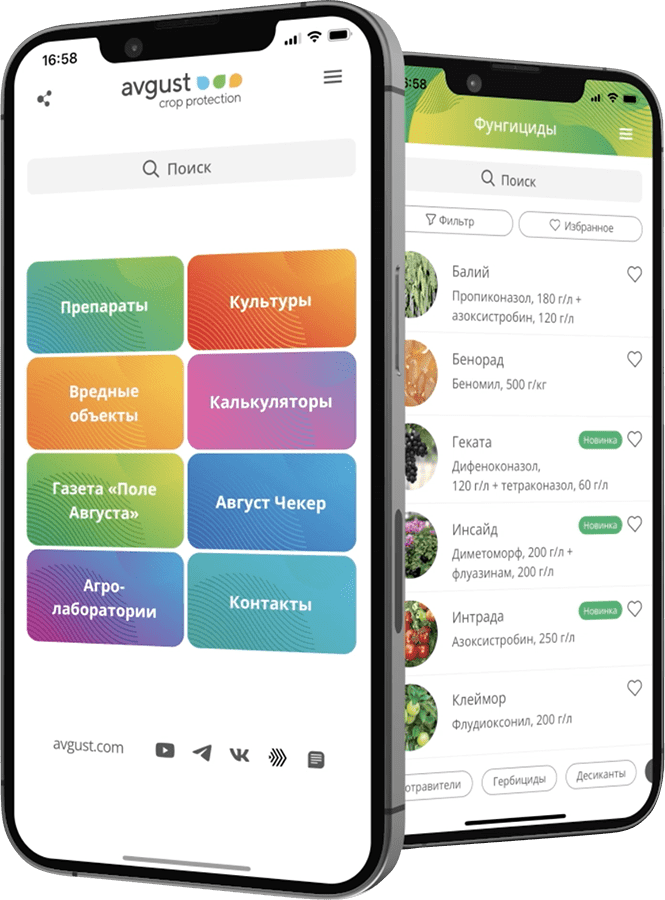 пример приложения