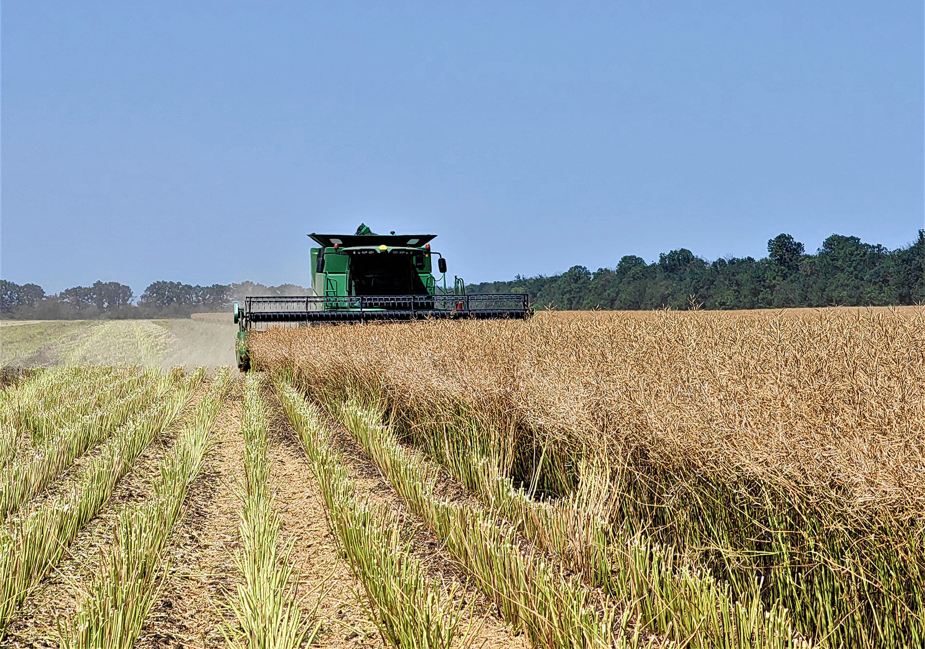 არის თუ არა რუსეთი სოფლის მეურნეობისთვის პესტიციდების დეფიციტის წინაშე?