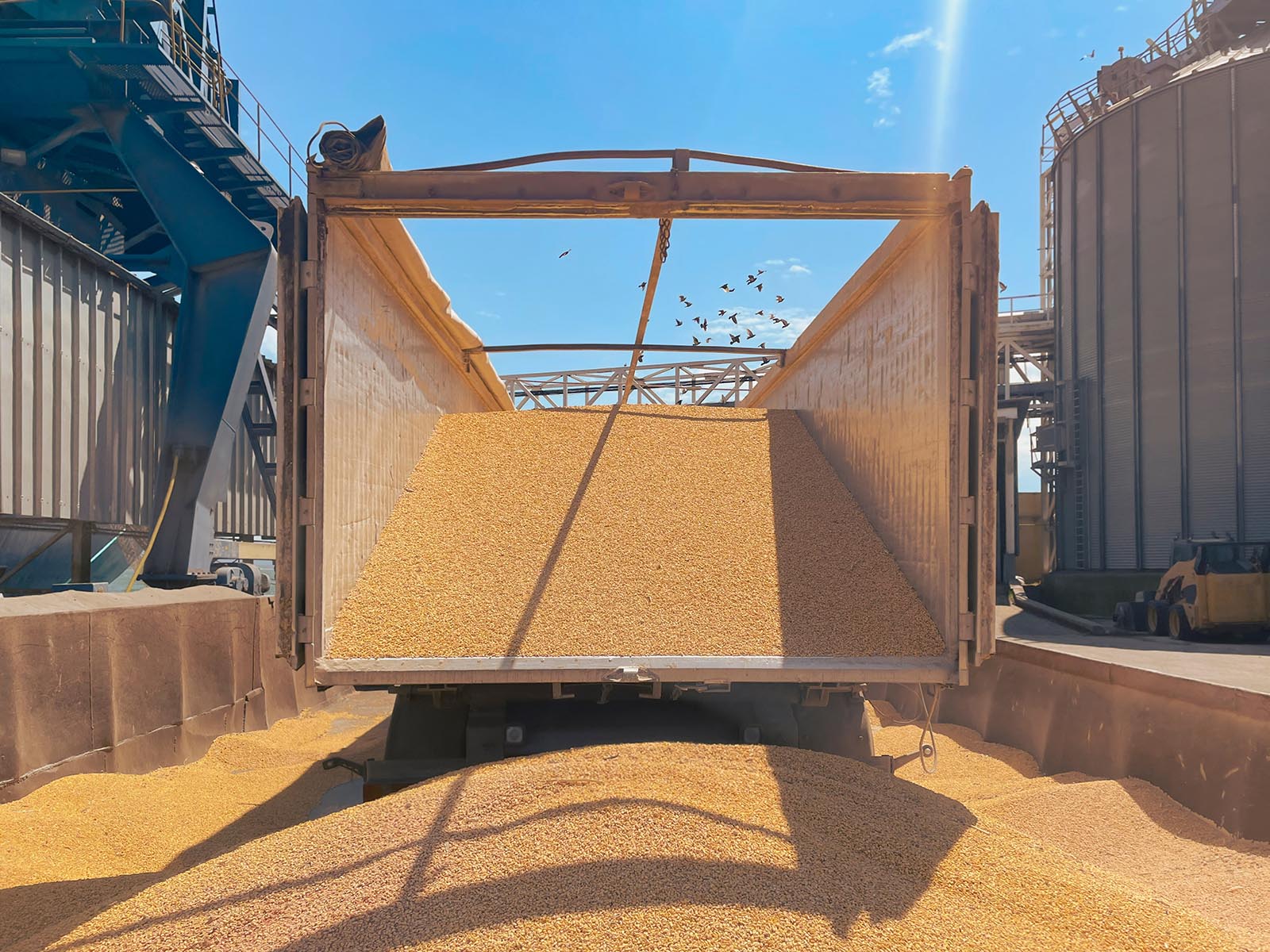 Татарстаннан ауылшаруашылық өнімдерінің экспорты 7 ға өсті%