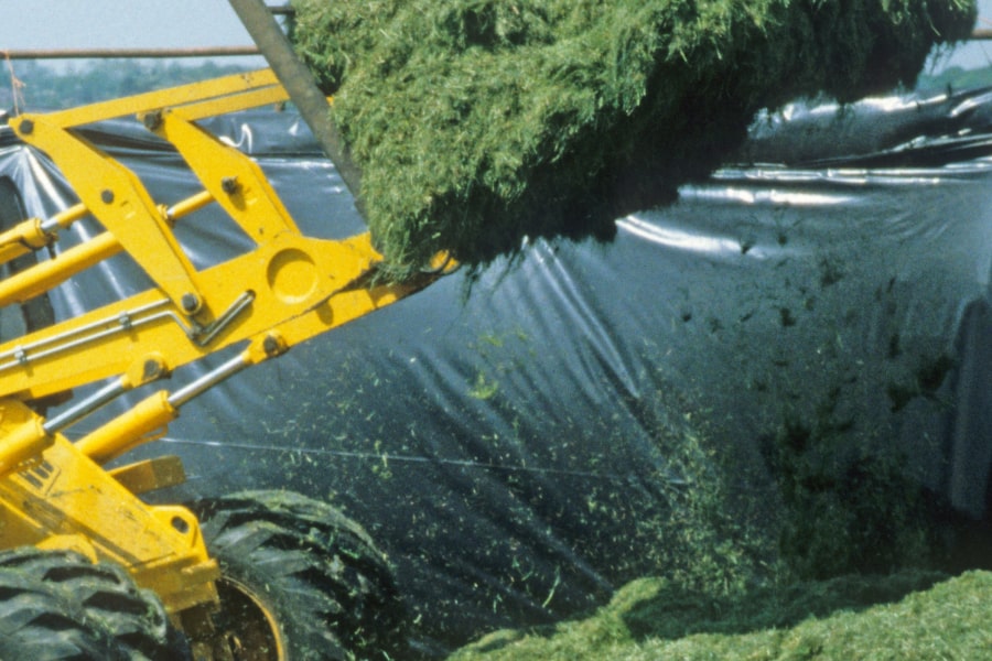 სილაჟის ფილმი